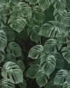 Monstera on Marble - View 1