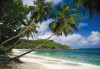 Tropical Sea - View 1