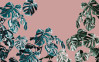 Monstera Rosé - View 1