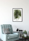 Palmtree Leaves