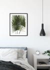Palmtree Leaves