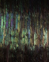 Dark Wings - View 1