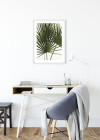 Palmtree Leaves