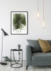 Palmtree Leaves