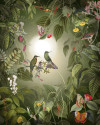 Wildlife Birds - View 1