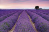 Provence - View 1