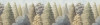 Painted Woods - View 1