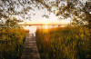 Lakeside - View 1