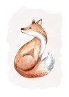 Curious Fox