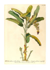 Tropic Interior - View 1
