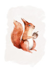 Hungry Squirrel