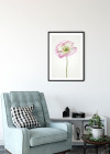 Poppy