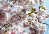 Spring - View 1