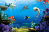 Finding Dory - View 1