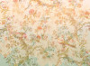 Oiseau de Paradis - View 1