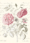 Poème Rose