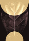 Maskerade - View 1