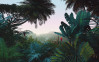 Jungle Morning - View 1