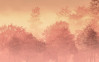 Heartwood - View 1