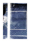 Bluely Arrangement