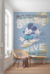 Mickey Brave the Wave - View 1