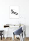 Iguana White