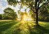 Golden Moment - View 1
