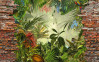 Jungle View Bricklane - View 1
