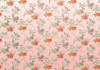 Primavera - View 1