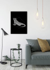 Iguana Black