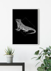 Iguana Black