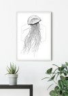 Jellyfish White