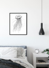 Jellyfish White