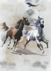 Wild Ride - View 1