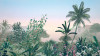 Matin - View 1
