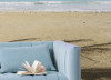 Caribbean Days II - View 1