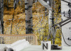 Colorful Aspenwoods - View 1