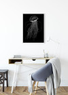Jellyfish Black