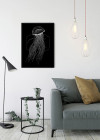 Jellyfish Black