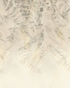 Herbarium - View 1