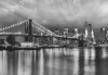 Brooklyn B/W - View 1