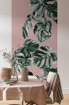 Monstera Rosé - View 1