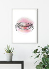 Crab Watercolor