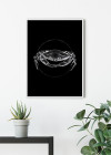 Crab Black