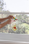 Winnie The Pooh - View 1