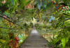 Wild Bridge - View 1