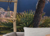Island Paradise - View 1