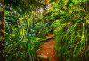 Jungle Trail - View 1