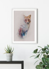 Animals Forest Fox
