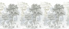 Rising Roots - View 1